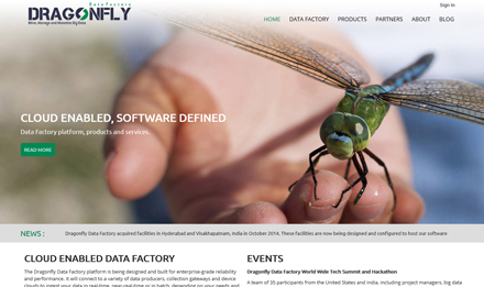 Website development